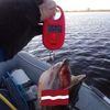 eriksglagaus