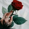 user2575463120953