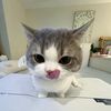 ່