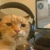 atricxz_