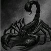 blackk_scorpionn