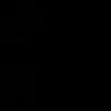 z.ah.r.313