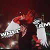 wrldteam