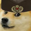 srpskidogeeditz