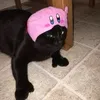 4nngl