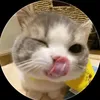 ume_0103