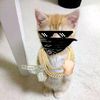 toomi.ffx