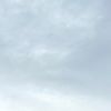_yongonoh