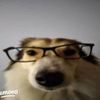 ssuri_0