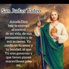 rosaiselaflores584
