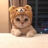 appleuser6784286