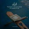 rashid65437