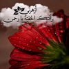 sham_sy44