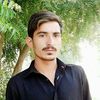 muhammadmumtaz8358