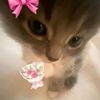 rungnapa_558