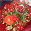 rocio.inestal.alo