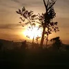 .tay55