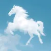 hoptoki