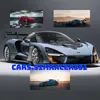 cars.simracer331
