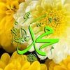madaniaboualaa