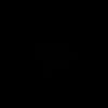 ion_i4