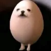 eggdog180