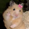 me_21709