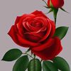 ahmdmhmd5795