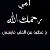 hanymohamed4169