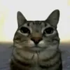 abdelitooosx
