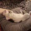 rita_5674477