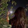 si_hana88
