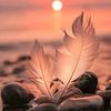 siraj.mohammed67