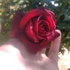 user6180357570401