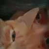 user7411304991176