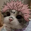 nezzukoshinobu