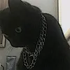 kalleu_brssnn