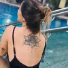 hyarlaburjack