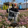 baojunior3979