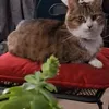 antonyroberts93