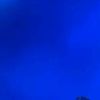 _fanvolt17_2
