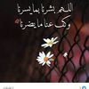 user90841522385240