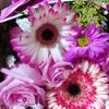 raiza.flores13