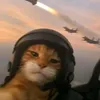 wanderpetssssssss