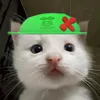 luoinhatthegioi._