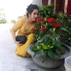 tuyet.phan789