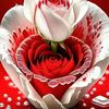 majidmjid22