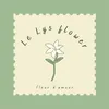 Le Lys Flower