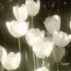 smilaoi