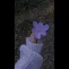 komalnadia2